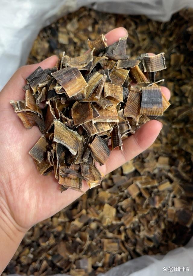 药材行情(药材行情 中药价格)