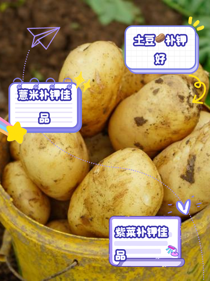 补钾_(补钾原则及注意事项)