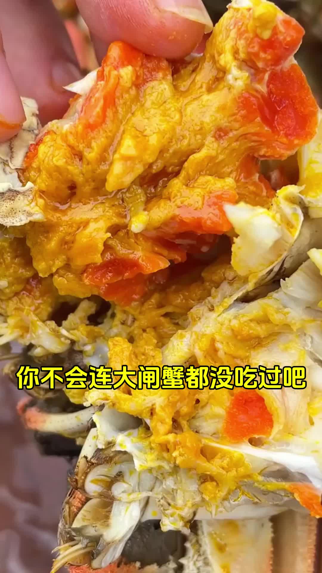 吃螃蟹能吃地瓜吗(吃螃蟹能吃地瓜吗u)