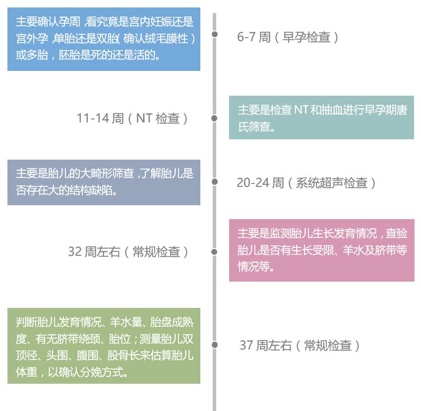 b超需要空腹吗(腹部b超需要空腹吗)