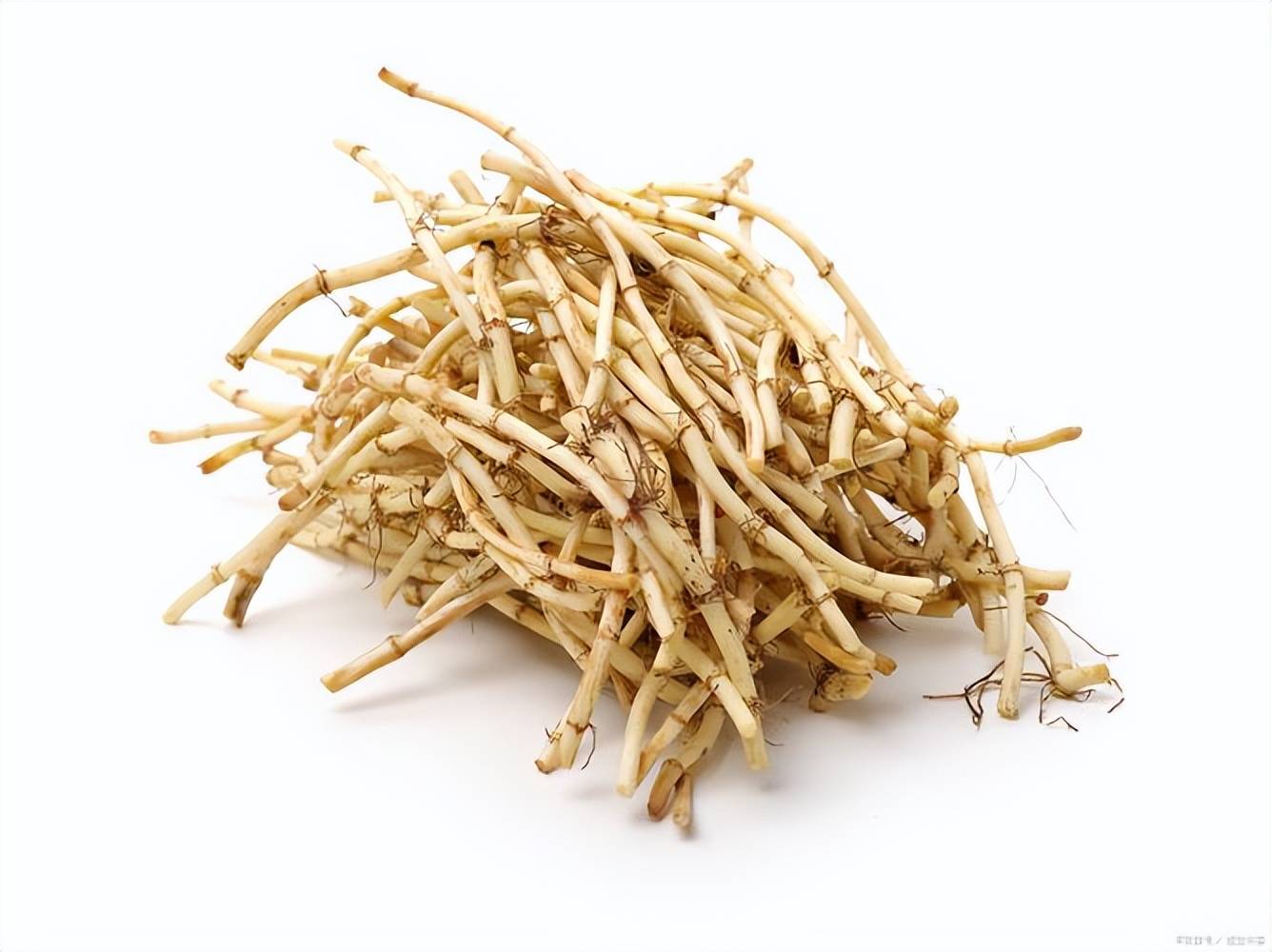 鱼腥草别名(鱼腥草别名折耳根的来历)