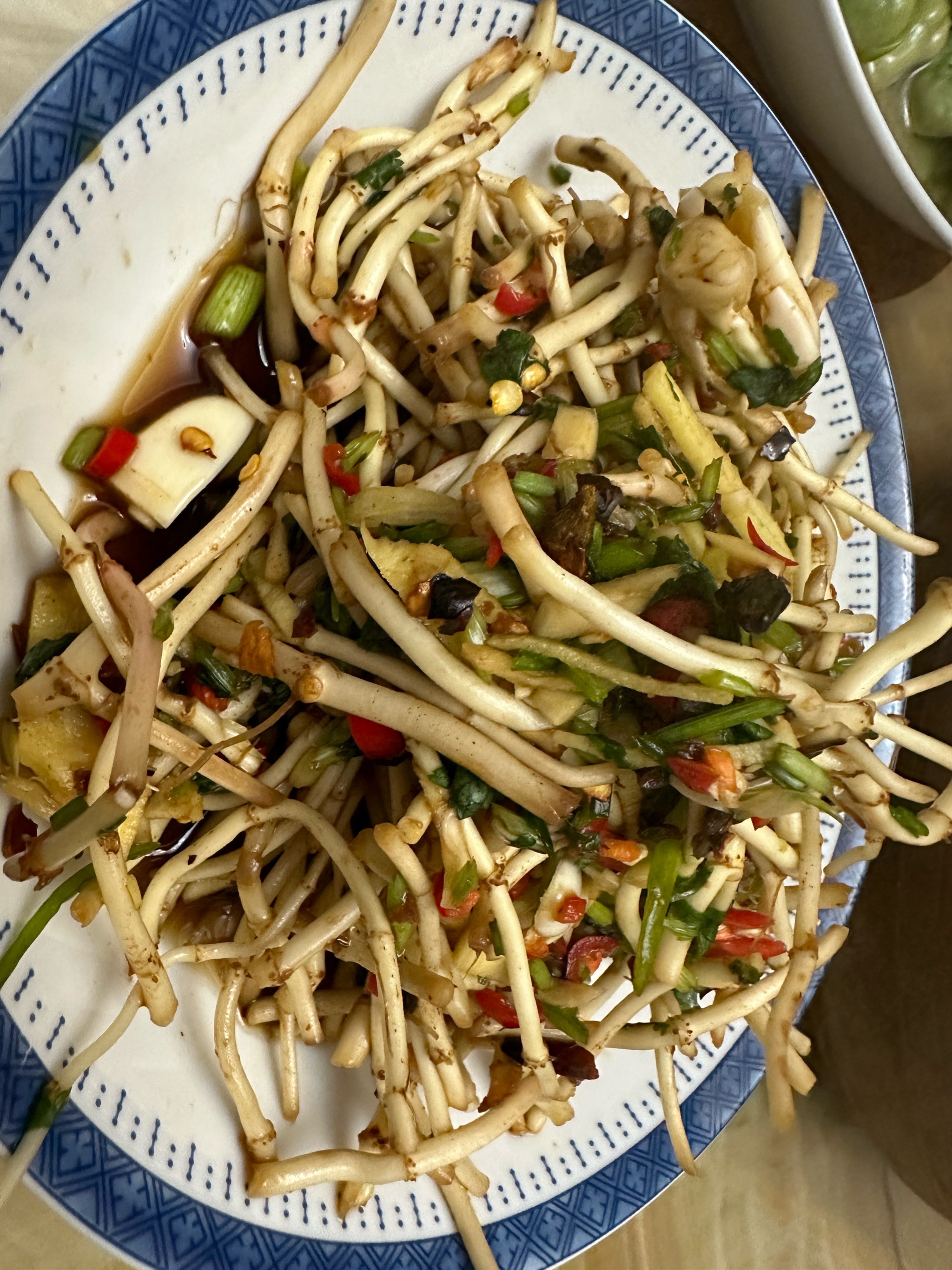 鱼腥草别名(鱼腥草别名折耳根的来历)