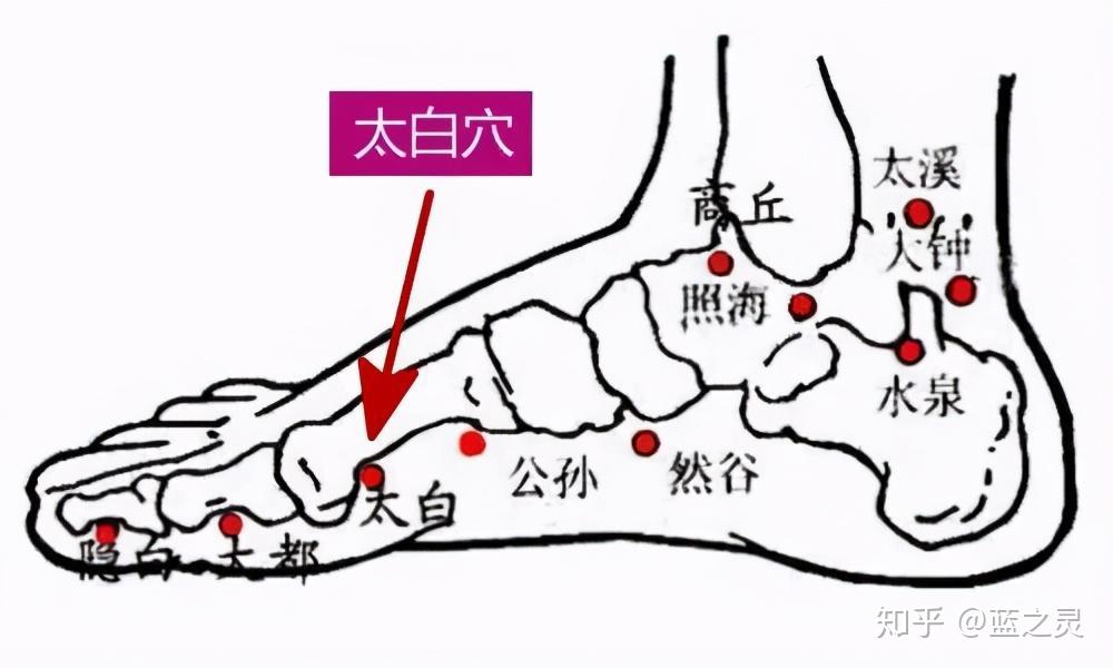 胃经的原穴(胃经的位置在哪里)