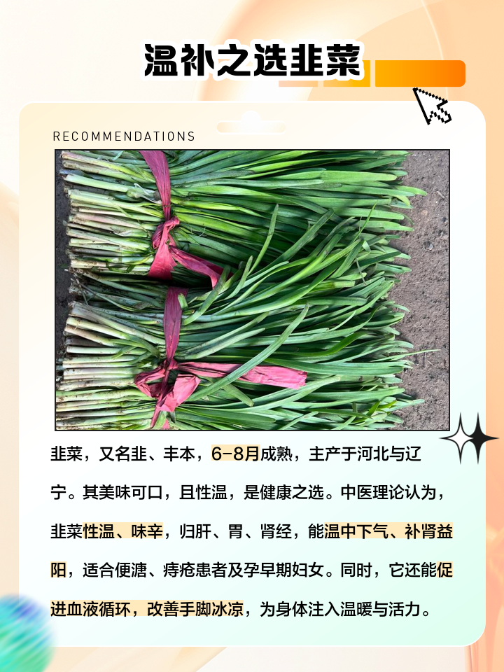 温性的蔬菜有哪些_(温性蔬菜大全一览表)