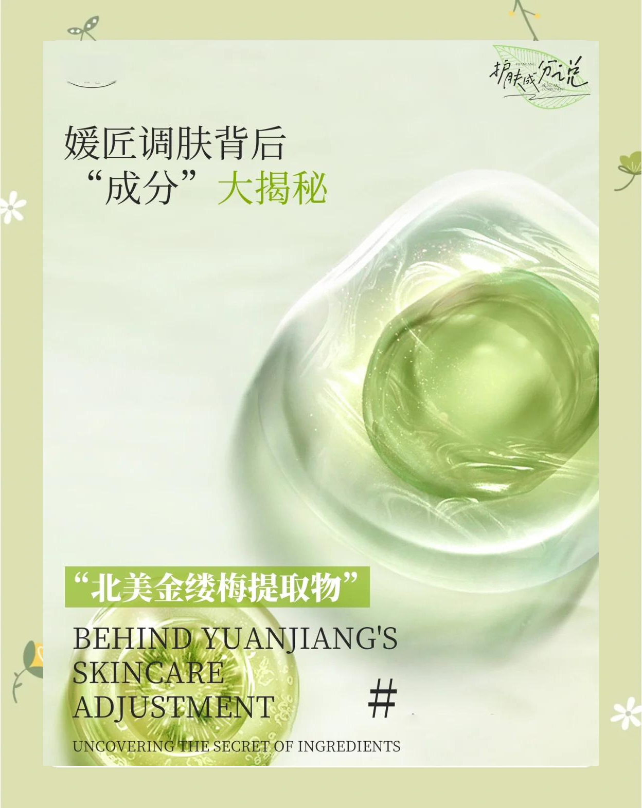 北美金缕梅-北美金缕梅的美容功效