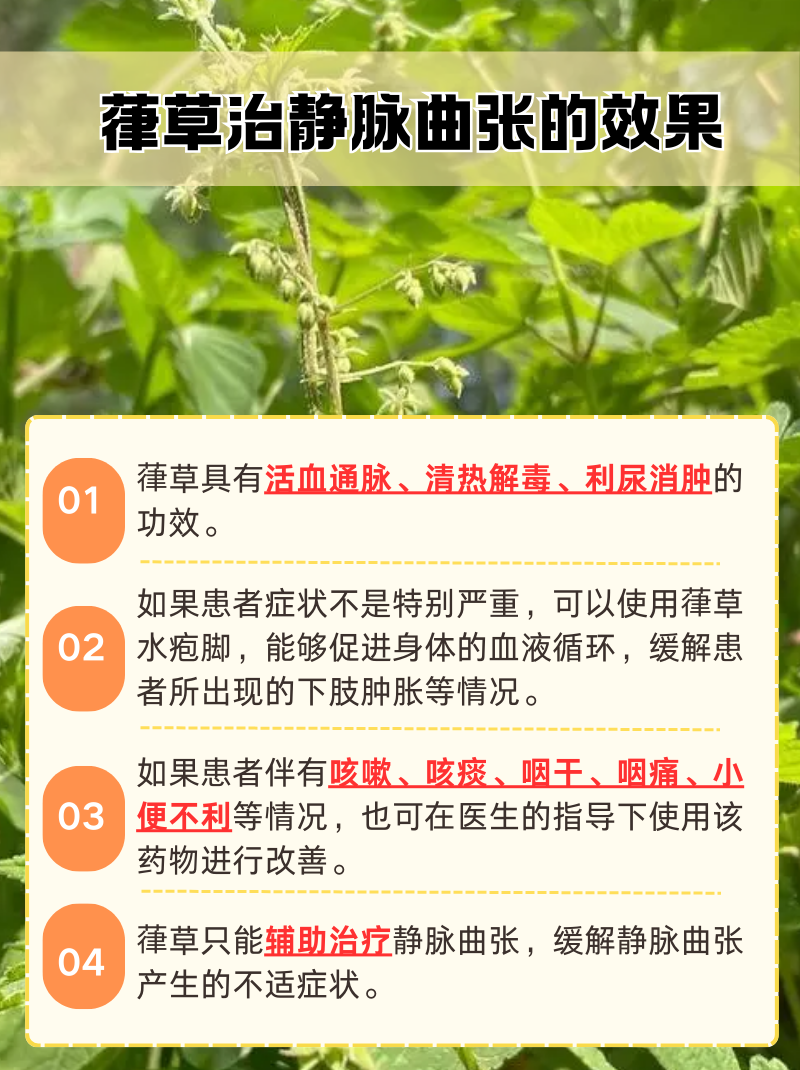 治静脉曲张(治静脉曲张哪个医院好)
