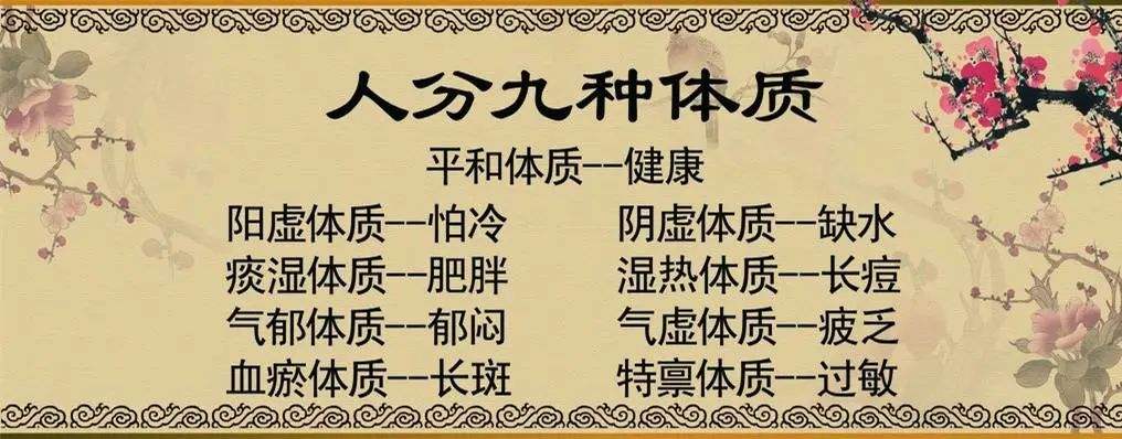 特禀质_(特禀质是什么体质)