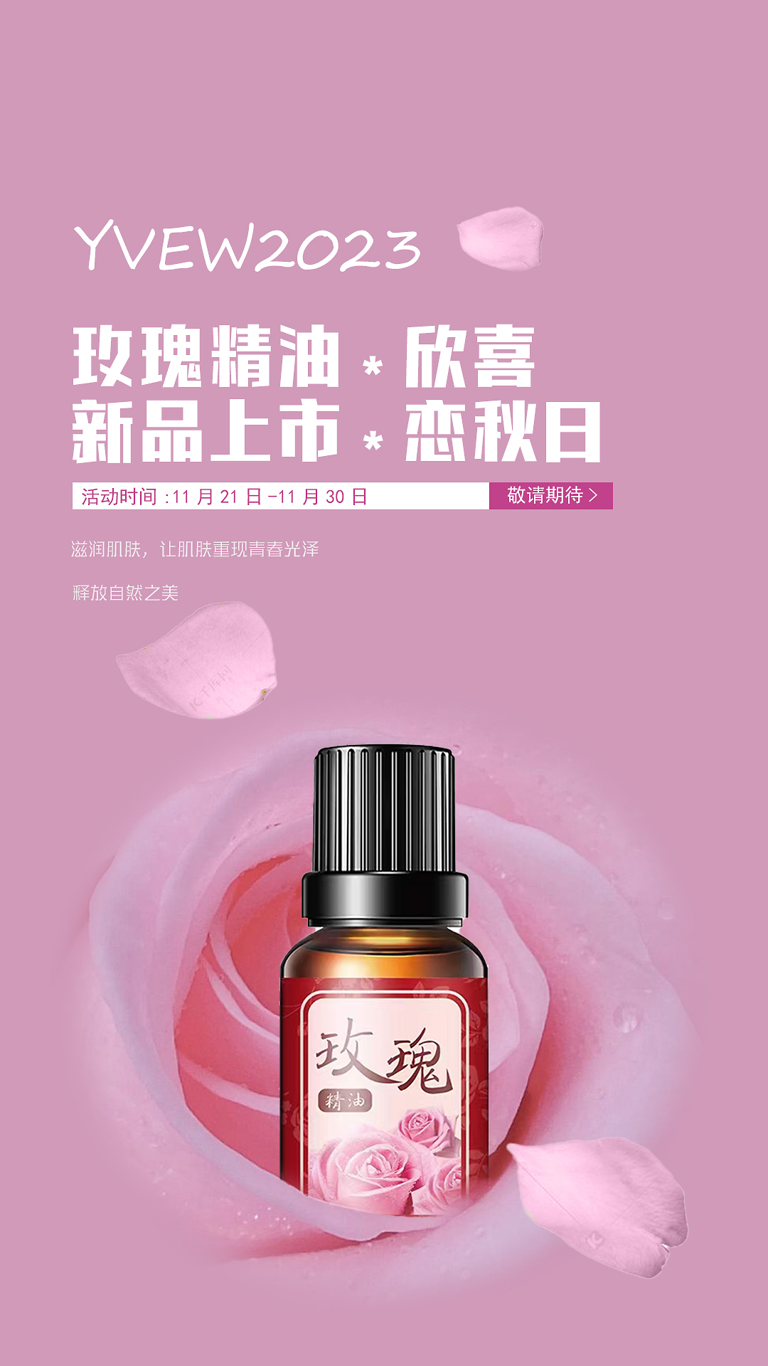 玫瑰精油作用_(玫瑰精油作用与功能主治)