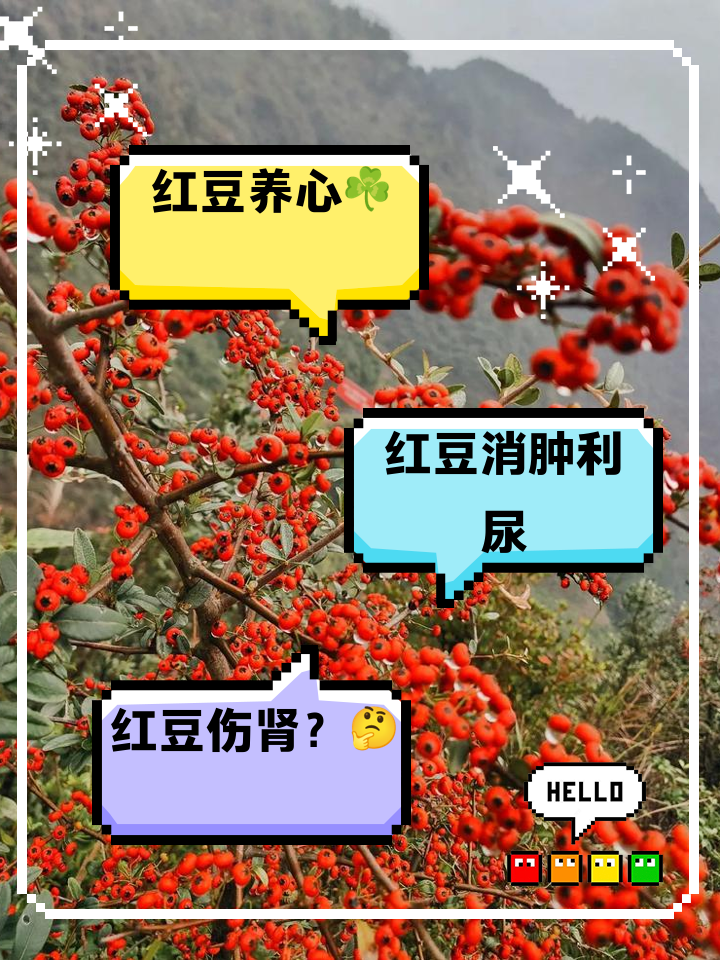 痛风能吃红豆吗(痛风能吃红豆吗花腰豆汤)