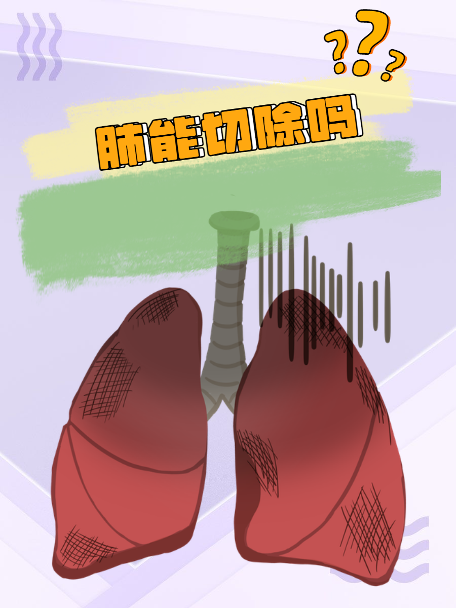 肺是起什么作用的_(肺的作用有什么)
